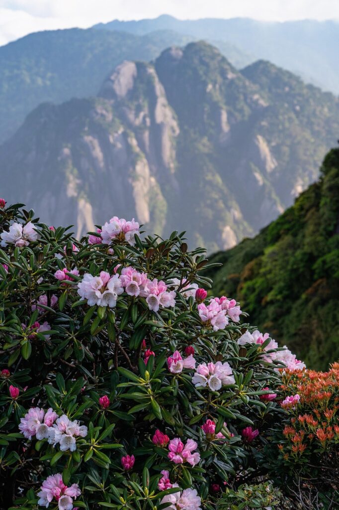 屋久島のパワースポットで訪れるべきおすすめの場所は？