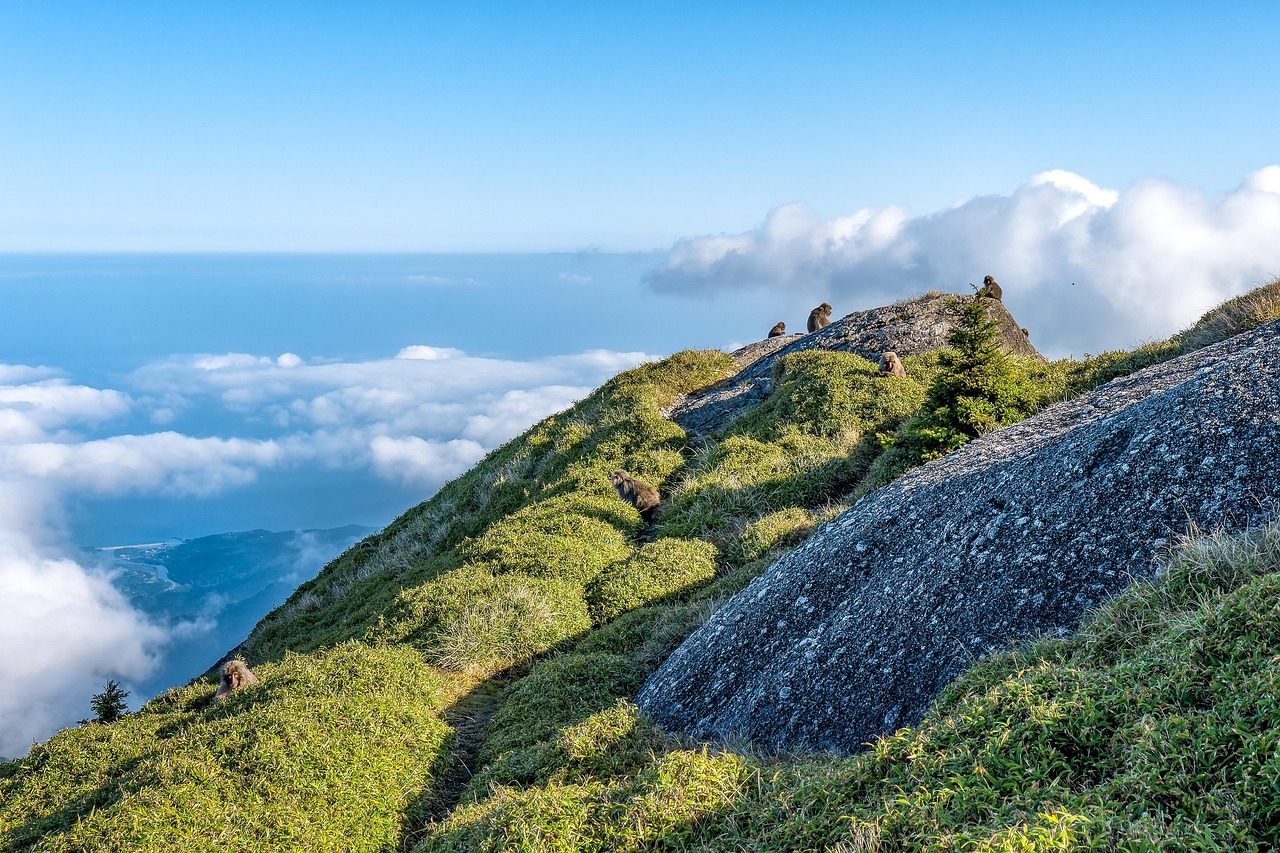 屋久島のパワースポットで訪れるべきおすすめは？