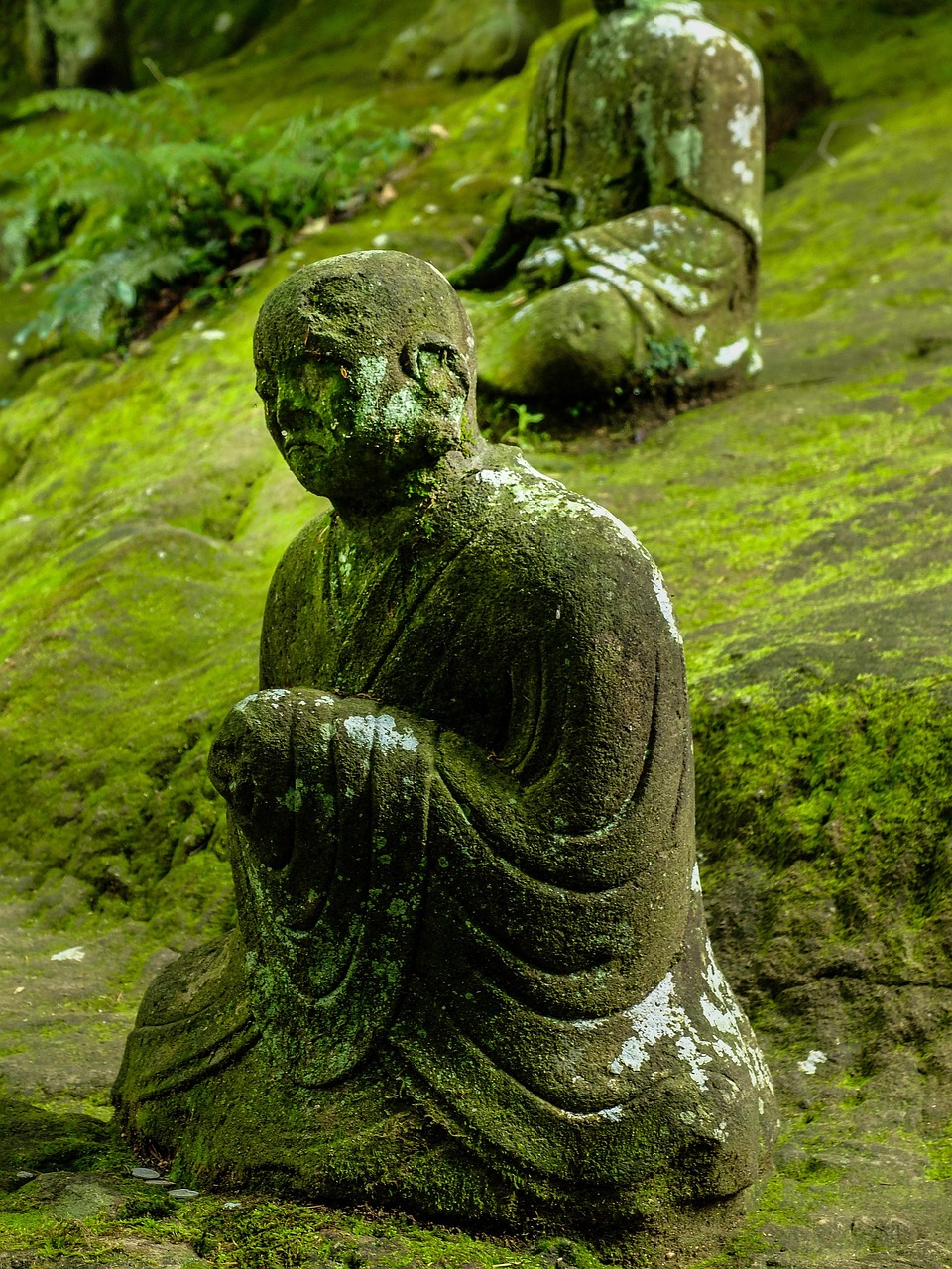 金運神社が熊本で人気の理由とは？