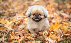 大分のパワースポットで心身をリフレッシュする方法は？