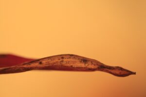 長崎の自然に囲まれたパワースポットはどこですか？