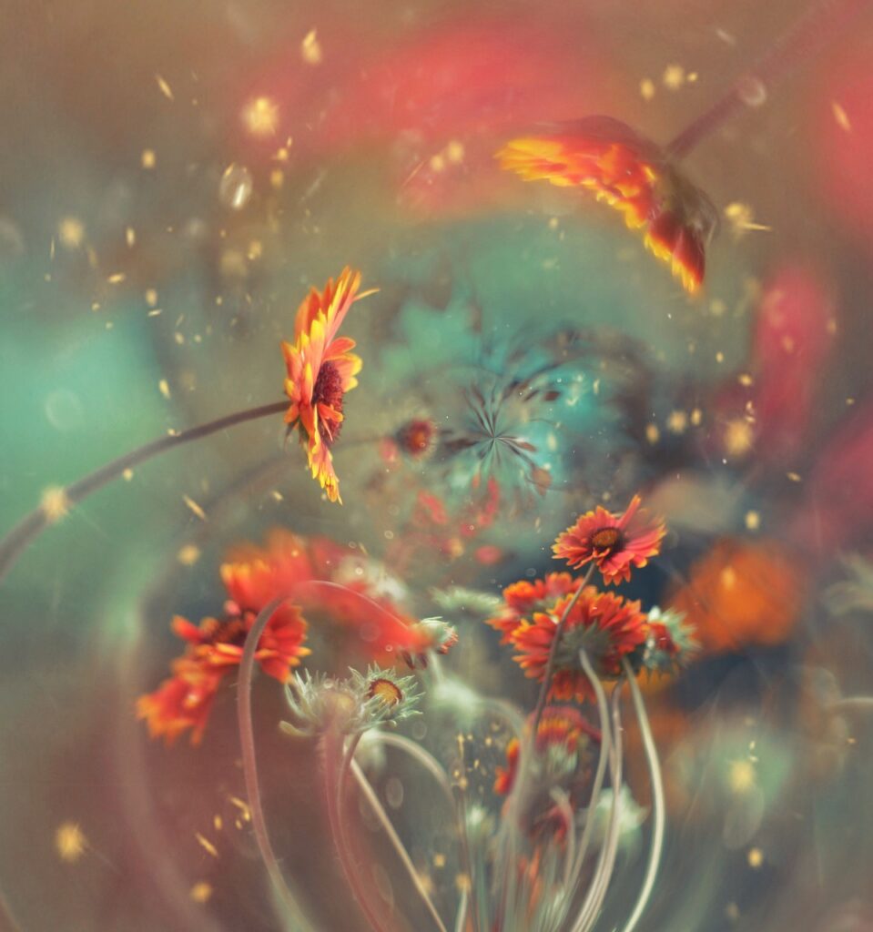 商売繁盛を祈願する神社はどこにある？