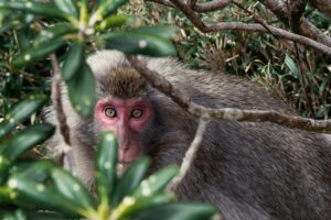 屋久島のスピリチュアルスポットを訪れる際のおすすめは？