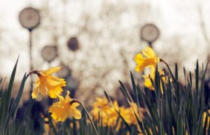 九州のパワースポットを訪れる際に混雑が少ない時間帯は？