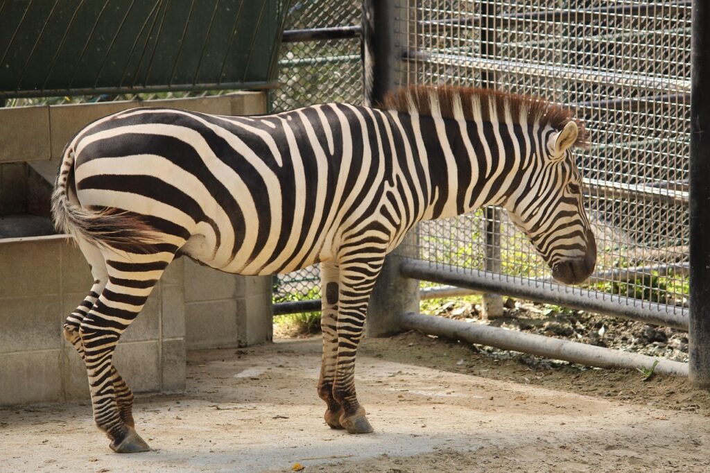 福岡の交通安全に効果的なパワースポットおすすめは？